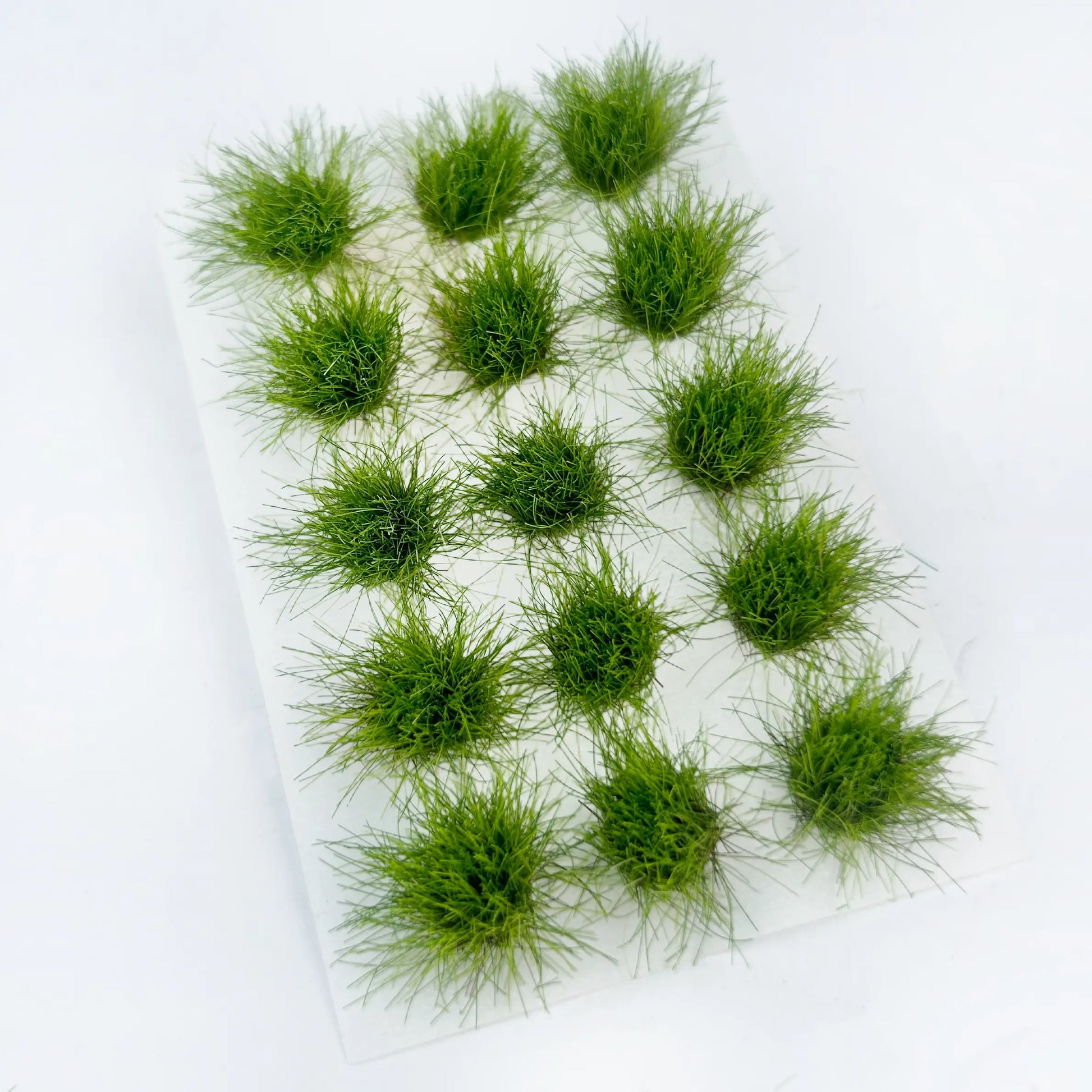 Pale green miniature turf clusters, diorama meadow scenery accessory, evenly arranged round grass tufts, flat commercial shot